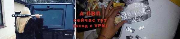 молекула духа Зеленокумск