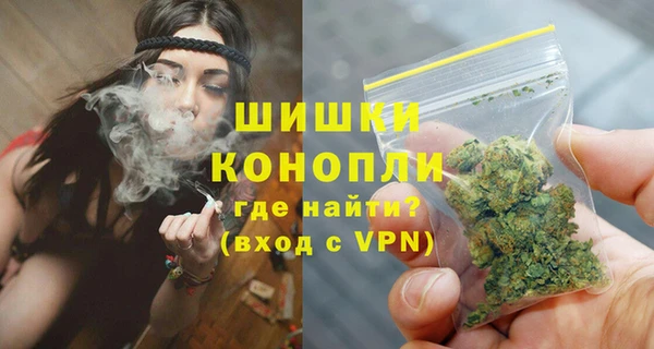 молекула духа Зеленокумск