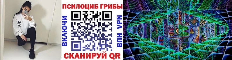 Купить закладки  Аша  Псилоцибиновые грибы прущие грибы 
